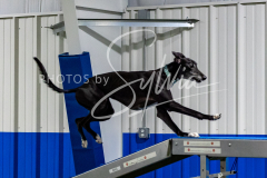 12-8-9-10-Jen-Pinder-1665