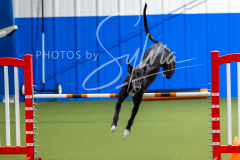 12-8-9-10-Jen-Pinder-1670