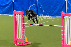 12-8-9-10-Jen-Pinder-1671