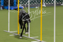 12-8-9-10-Jen-Pinder-1678