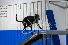 12-8-9-10-Jen-Pinder-1684