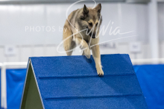 12-8-9-10-Jen-Pinder-1692