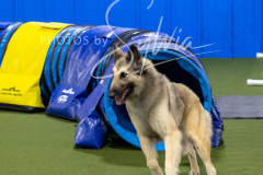 12-8-9-10-Jen-Pinder-1697