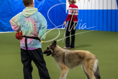 12-8-9-10-Jen-Pinder-1699