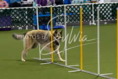 12-8-9-10-Jen-Pinder-1701