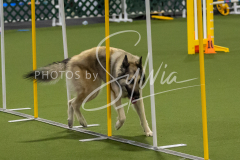 12-8-9-10-Jen-Pinder-1704