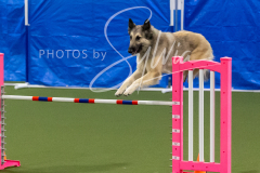 12-8-9-10-Jen-Pinder-1710