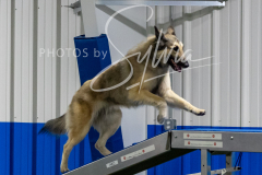 12-8-9-10-Jen-Pinder-1711