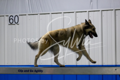 12-8-9-10-Jen-Pinder-1712