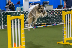 12-8-9-10-Jen-Pinder-1713