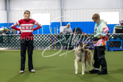 12-8-9-10-Jen-Pinder-1714