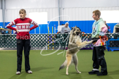 12-8-9-10-Jen-Pinder-1715