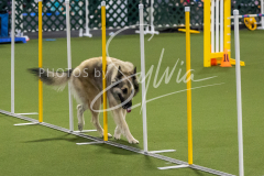 12-8-9-10-Jen-Pinder-1719