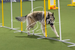 12-8-9-10-Jen-Pinder-1724