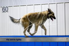 12-8-9-10-Jen-Pinder-1729