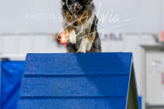 12-8-9-10-Jen-Pinder-1733