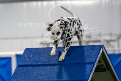 12-8-9-10-Jen-Pinder-1741