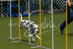 12-8-9-10-Jen-Pinder-1744