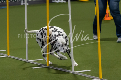 12-8-9-10-Jen-Pinder-1746