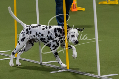 12-8-9-10-Jen-Pinder-1747