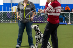 12-8-9-10-Jen-Pinder-1758