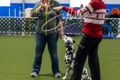 12-8-9-10-Jen-Pinder-1759