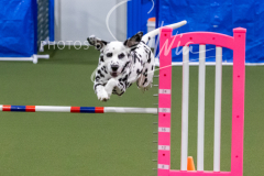 12-8-9-10-Jen-Pinder-1760