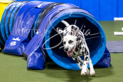 12-8-9-10-Jen-Pinder-1764