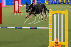 12-8-9-10-Jen-Pinder-1768