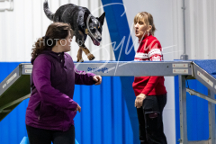 12-8-9-10-Jen-Pinder-1774