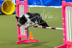 12-8-9-10-Jen-Pinder-1778