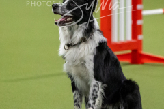 12-8-9-10-Jen-Pinder-1782