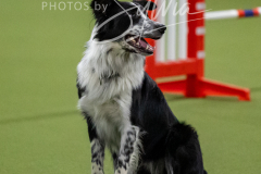 12-8-9-10-Jen-Pinder-1783