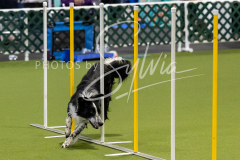 12-8-9-10-Jen-Pinder-1784