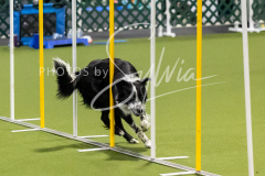 12-8-9-10-Jen-Pinder-1785