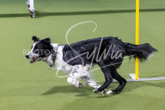 12-8-9-10-Jen-Pinder-1799