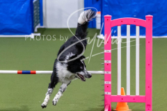 12-8-9-10-Jen-Pinder-1800