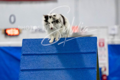 12-8-9-10-Jen-Pinder-1805