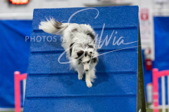 12-8-9-10-Jen-Pinder-1806