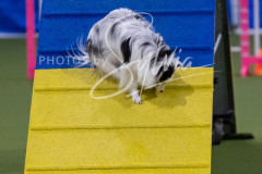 12-8-9-10-Jen-Pinder-1808