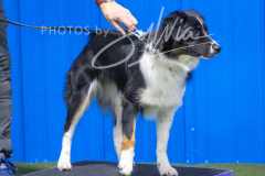 12-8-9-10-Jen-Pinder-181