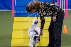 12-8-9-10-Jen-Pinder-1811