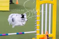 12-8-9-10-Jen-Pinder-1812