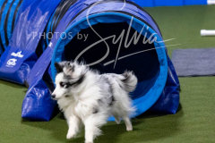 12-8-9-10-Jen-Pinder-1815