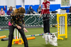 12-8-9-10-Jen-Pinder-1819