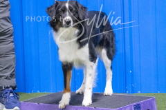 12-8-9-10-Jen-Pinder-182