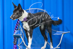 12-8-9-10-Jen-Pinder-184