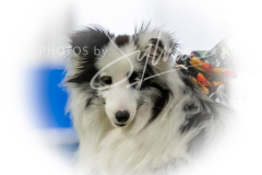 12-8-9-10-Jen-Pinder-1840