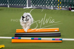 12-8-9-10-Jen-Pinder-1843