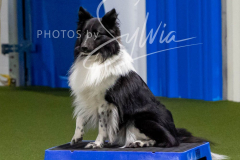 12-8-9-10-Jen-Pinder-1852